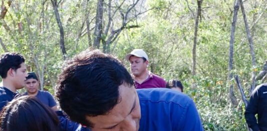 Jaguar rescatado sano y salvo en Gómez Farías: Comisión de Parques