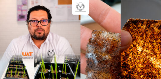Patenta la UAT bioplásticos que recuperan suelos erosionados